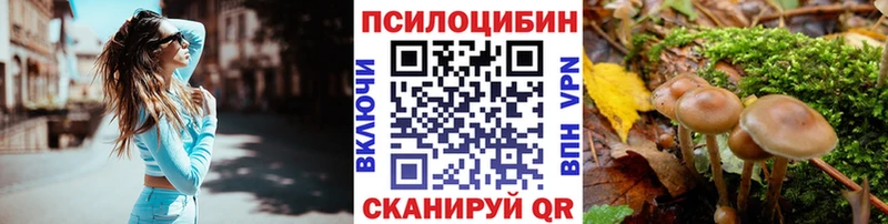 наркота  Алексеевка  Галлюциногенные грибы прущие грибы 