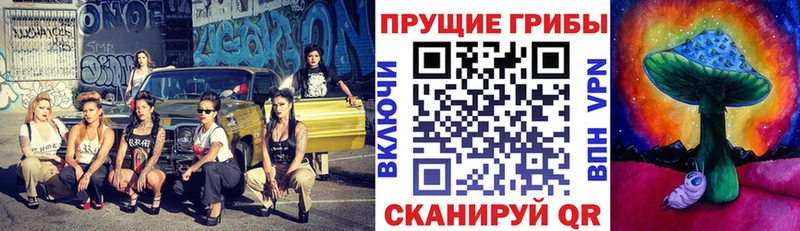 Псилоцибиновые грибы MAGIC MUSHROOMS Алексеевка